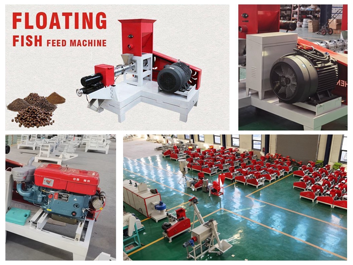dry type Trout feed pelleting machine in Zambia